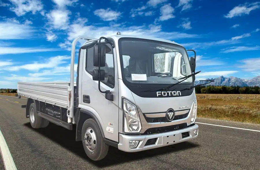 Foton light cargo truck