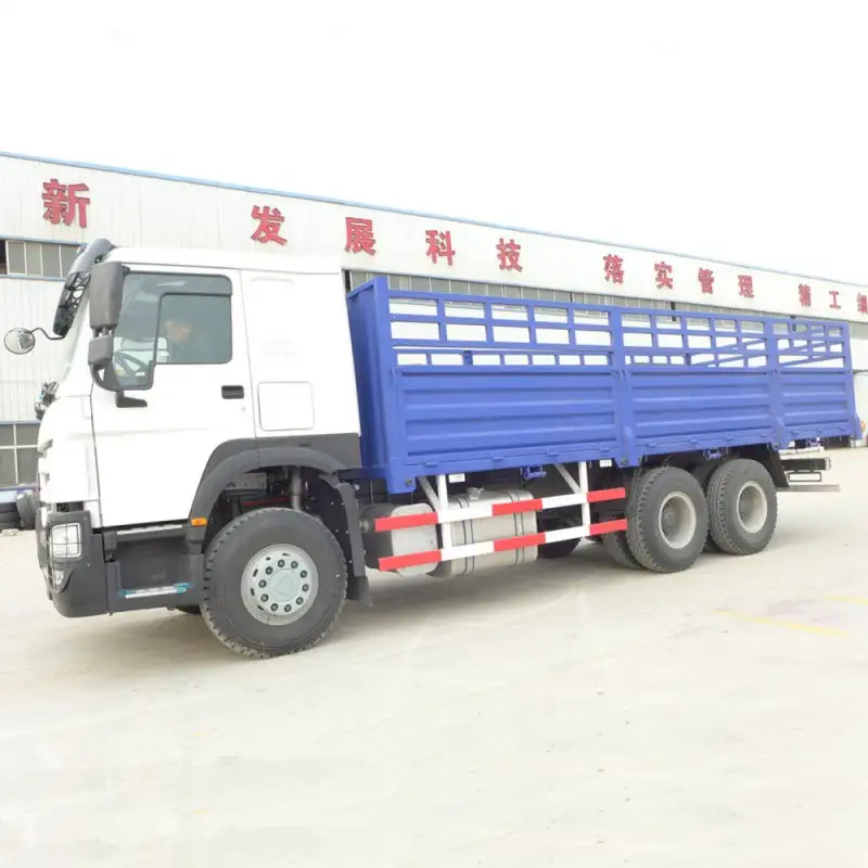 Howo 6x4 Cargo Truck