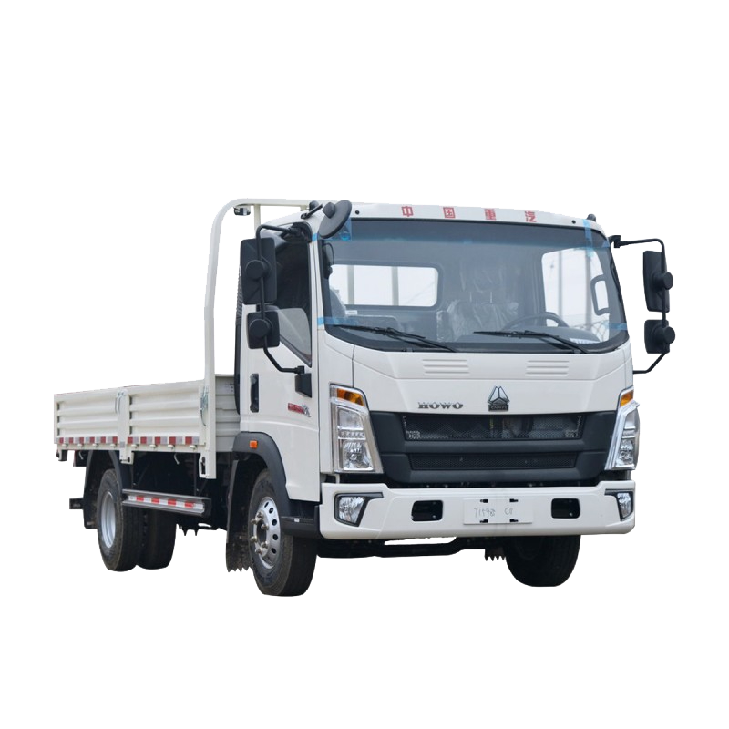 Howo Light Cargo Truck