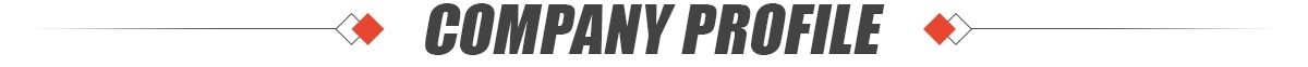 Company Profile.jpg