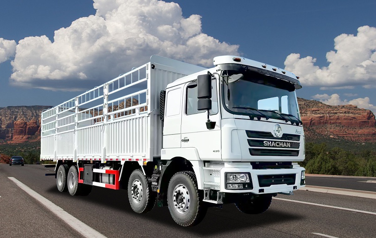 Shacman 8x4 cargo truck
