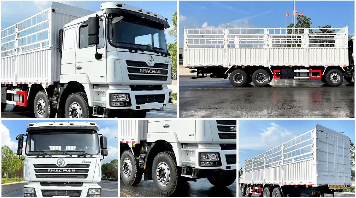 Shacman 8x4 cargo truck details