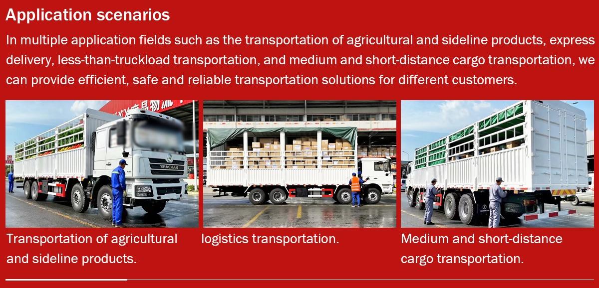 Shacman 8x4 cargo truck applications