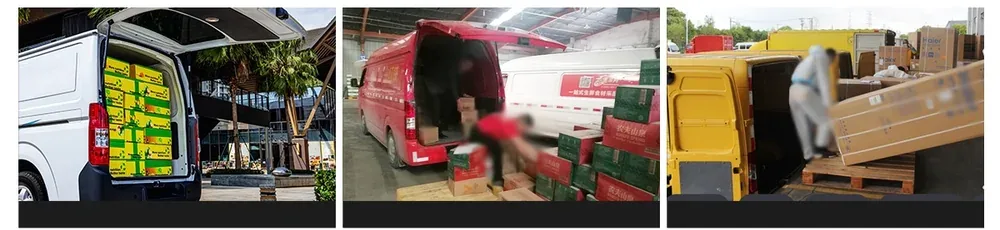 Foton View G7 EV Flat Roof Cargo Van applications