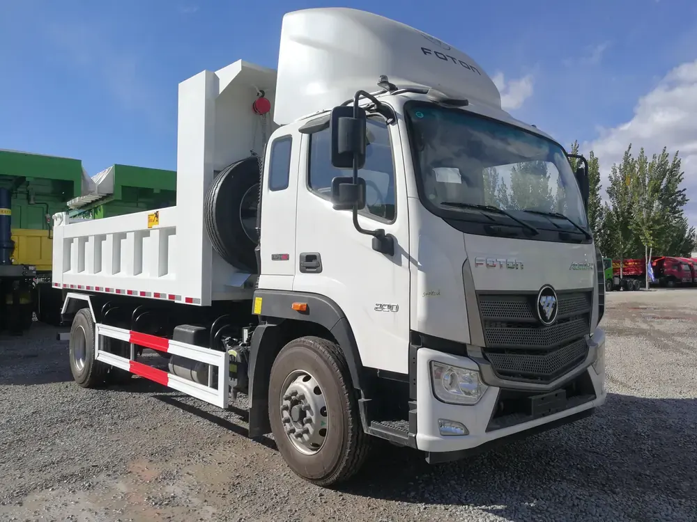 Foton light dump truck