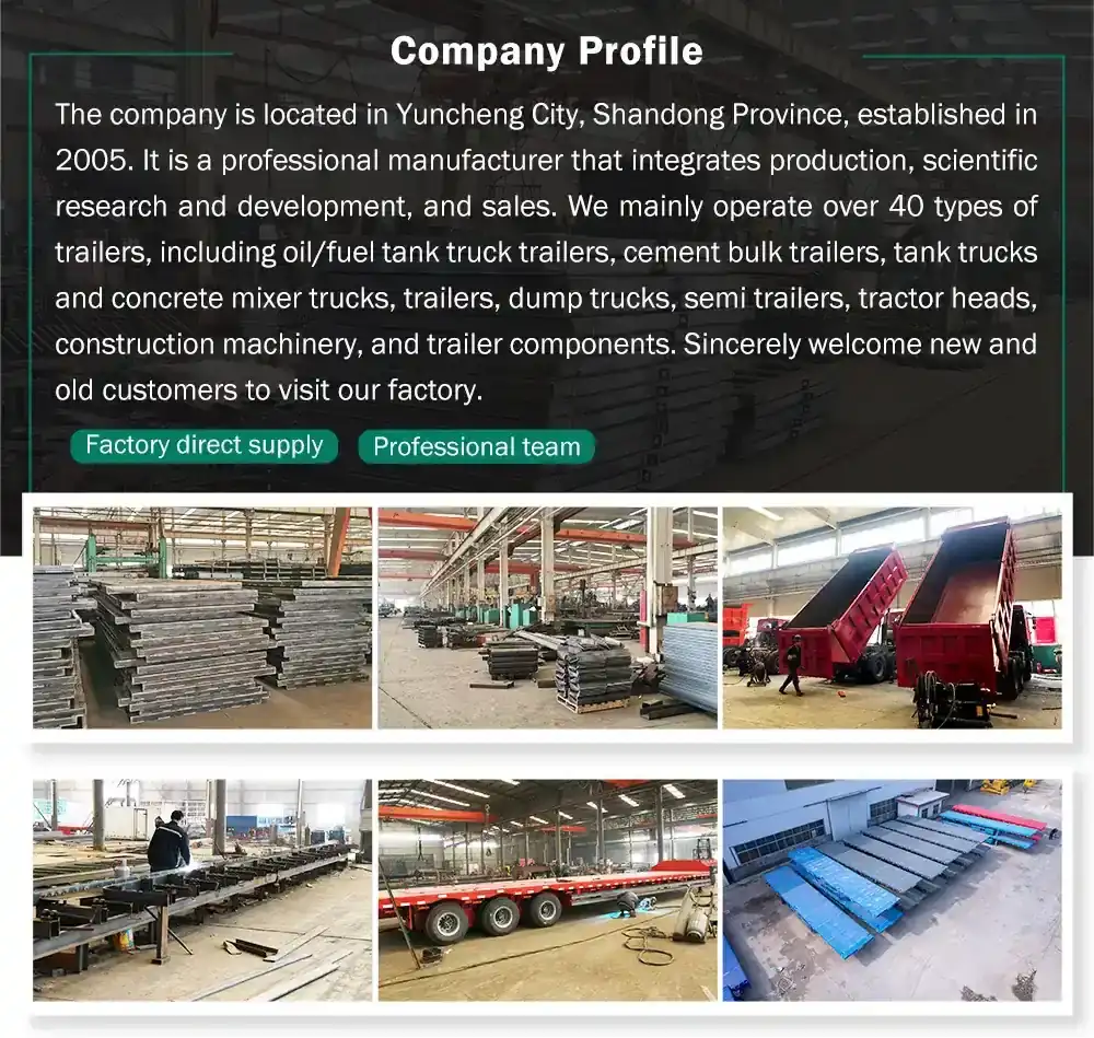 company profile.webp
