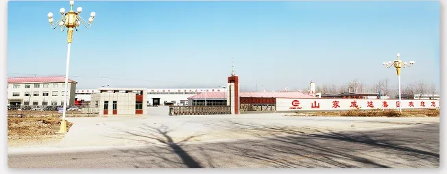 company1