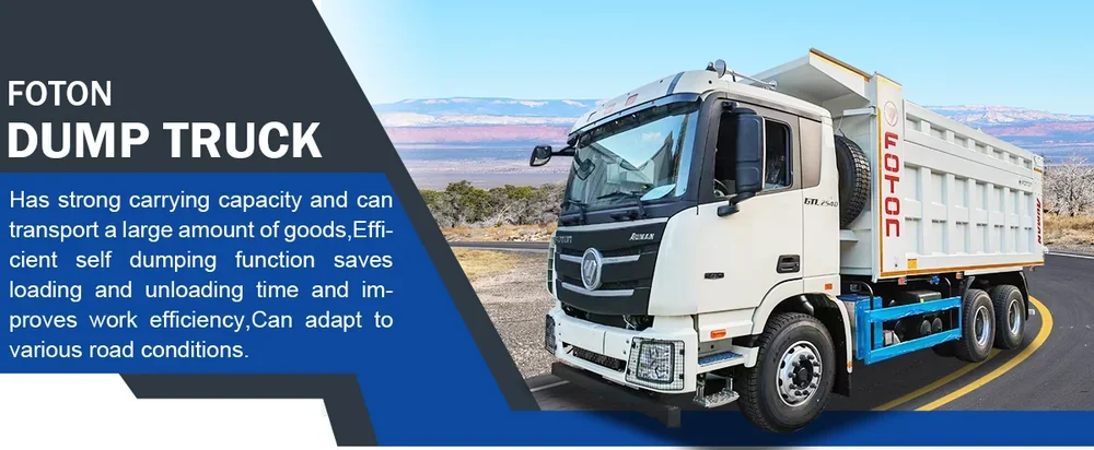 fotom GTL dump truck (7).webp