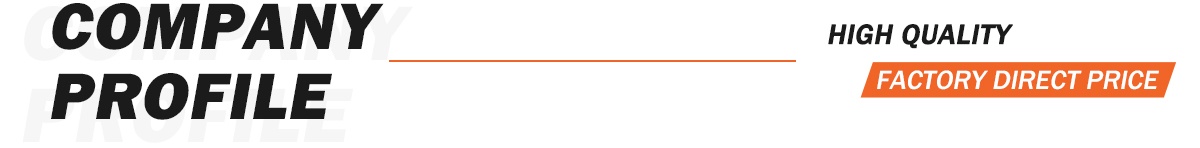 Company Profile