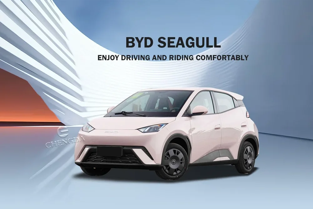 BYD Seagull