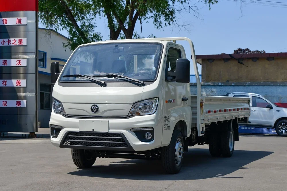 Foton TM2 gasoline single cab flatbed light duty truck