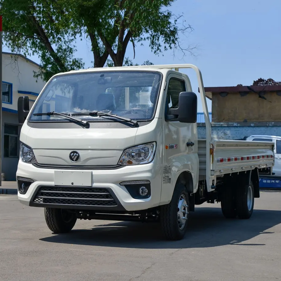 Foton TM2 Gasoline Single Cab Flatbed Light Truck