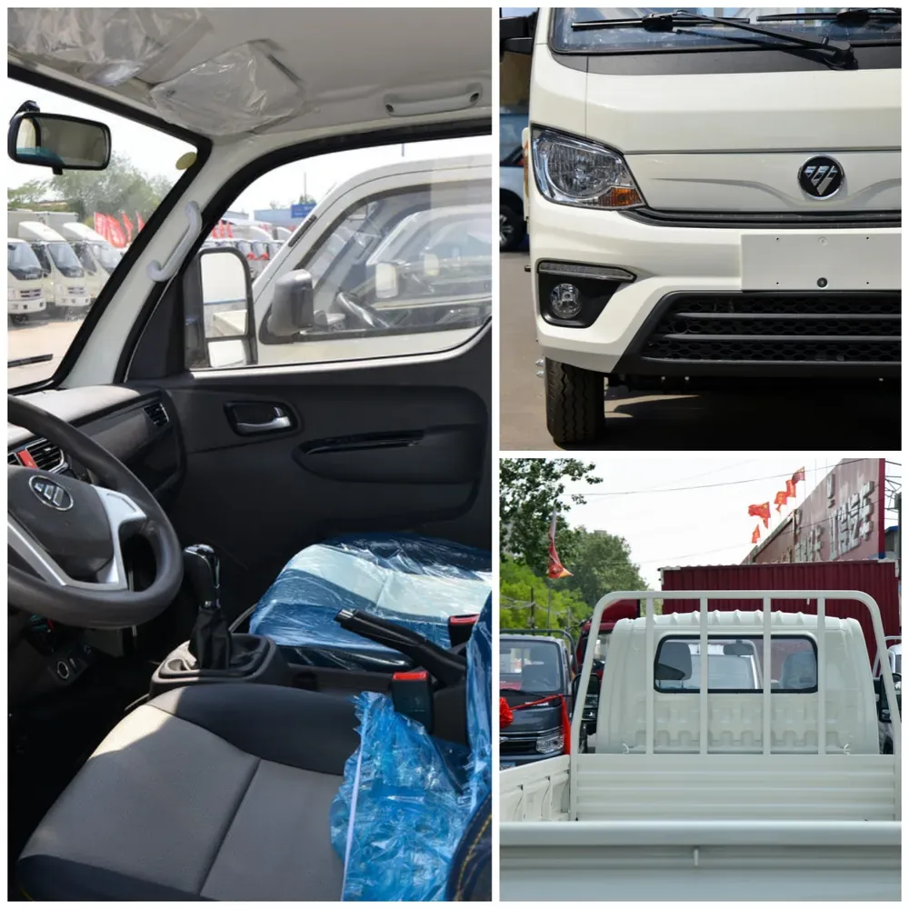Foton TM2 gasoline single cab flatbed light duty truck details
