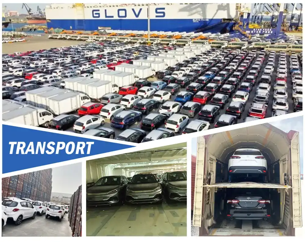 transportation