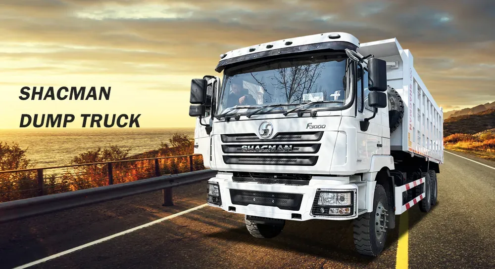 shacman 6x4 dump truck (9).webp