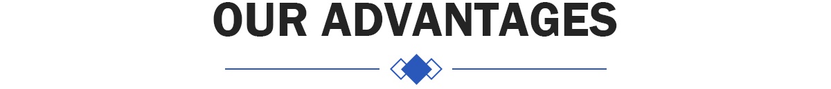 Our Advantages