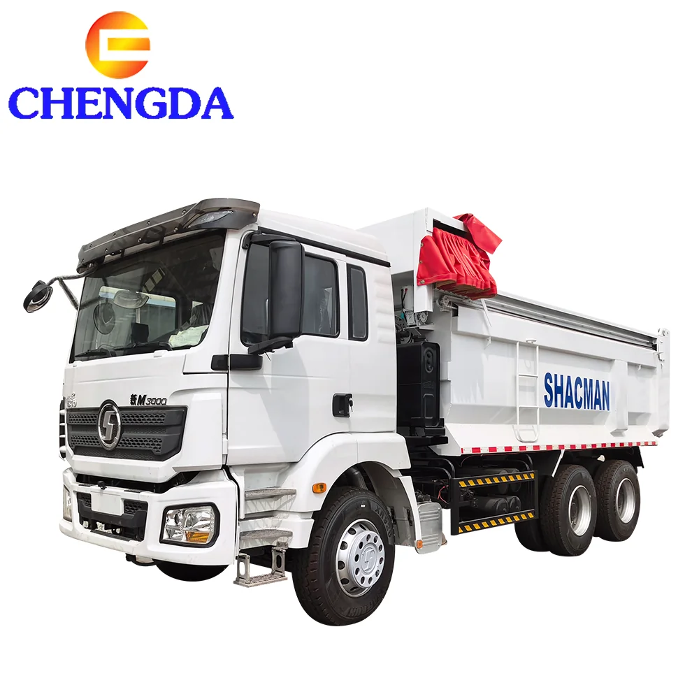 The Rise of Chinese Heavy-Duty Vehicles in Africa: What's Driving the Adoption Among Fleet Buyers