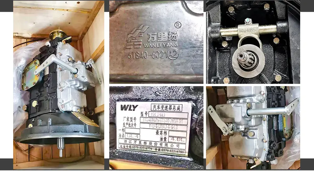 Wanliyang WLY 6G40 Gearbox detail