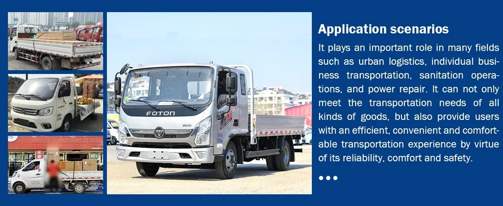 Foton Cargo Truck (10).webp