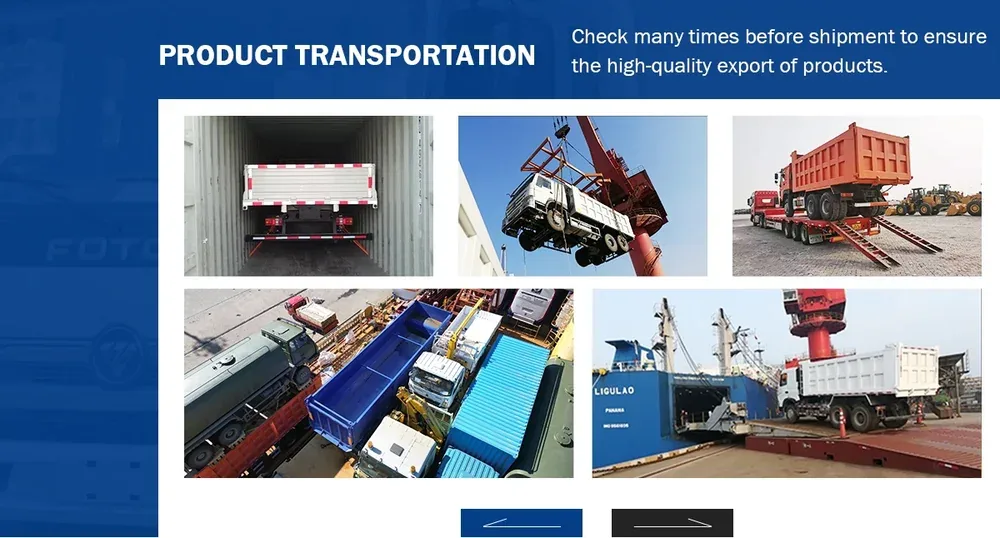 Foton Cargo Truck (11).webp