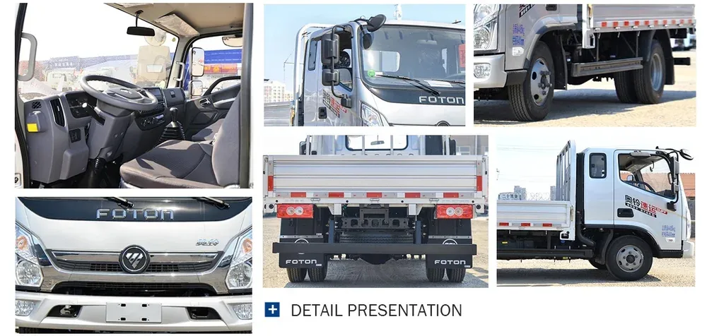 Foton Cargo Truck (9).webp
