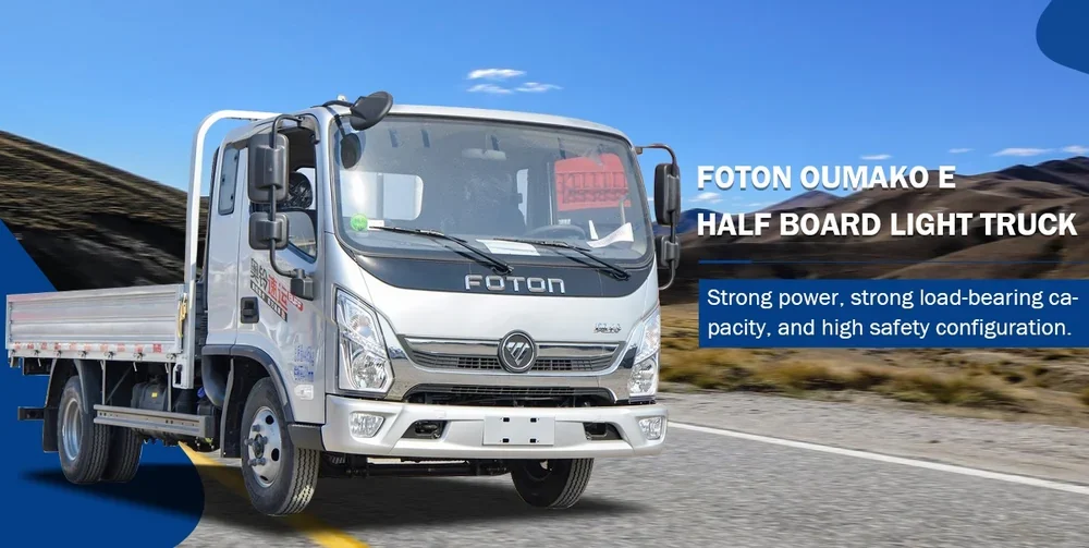 Foton Cargo Truck (8).webp