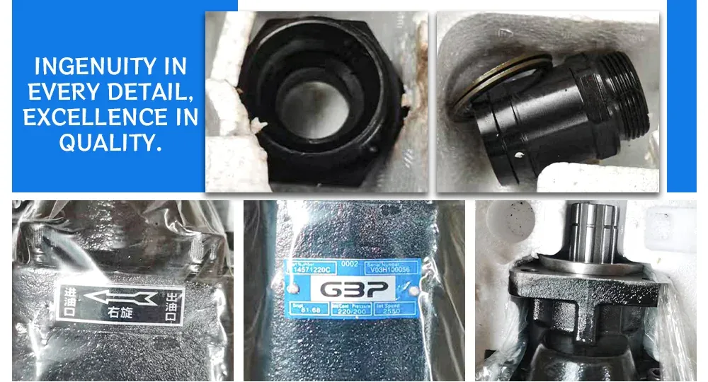 Model 1234C Gear Pump detail