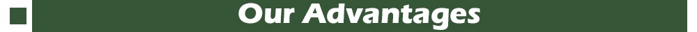 Our Advantages