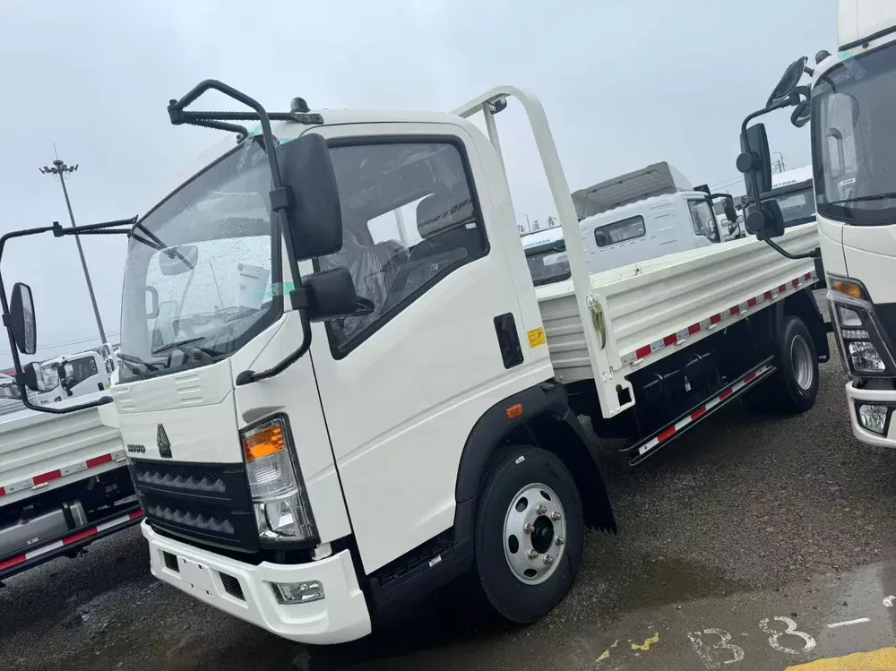 SINOTRUK 4x2 mini cargo truck applications