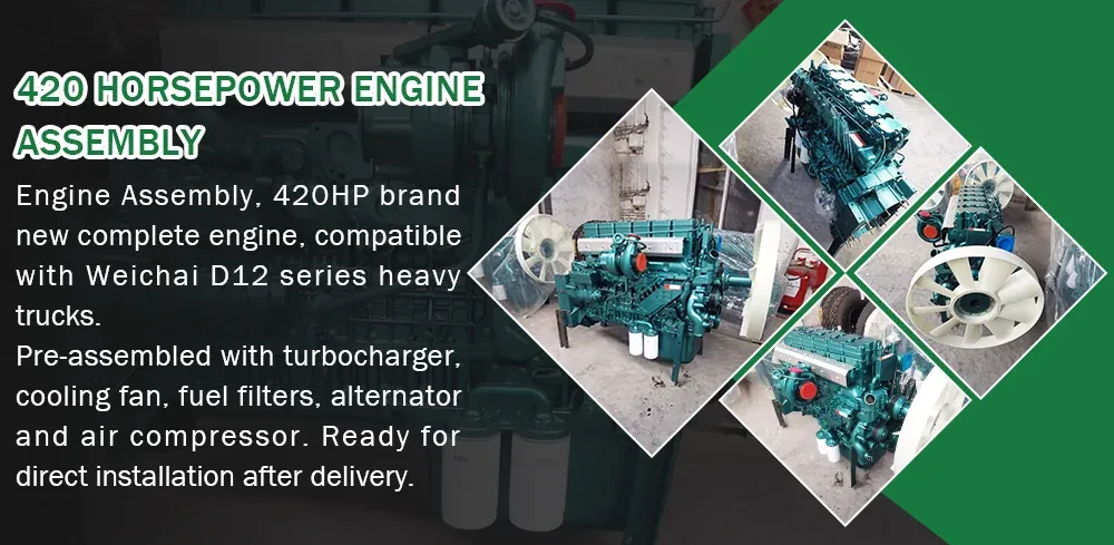 D12.42-420 diesel engine assembly