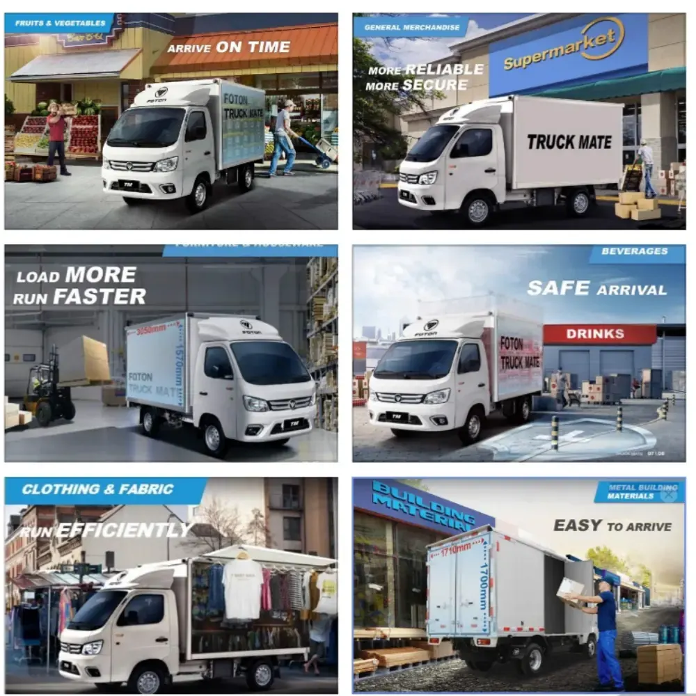 Foton TM2 Mini Flatbed Applications