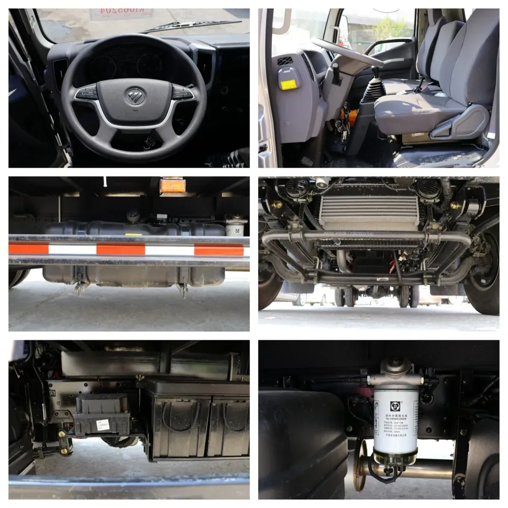 Foton light cargo truck cabin and cargo body details