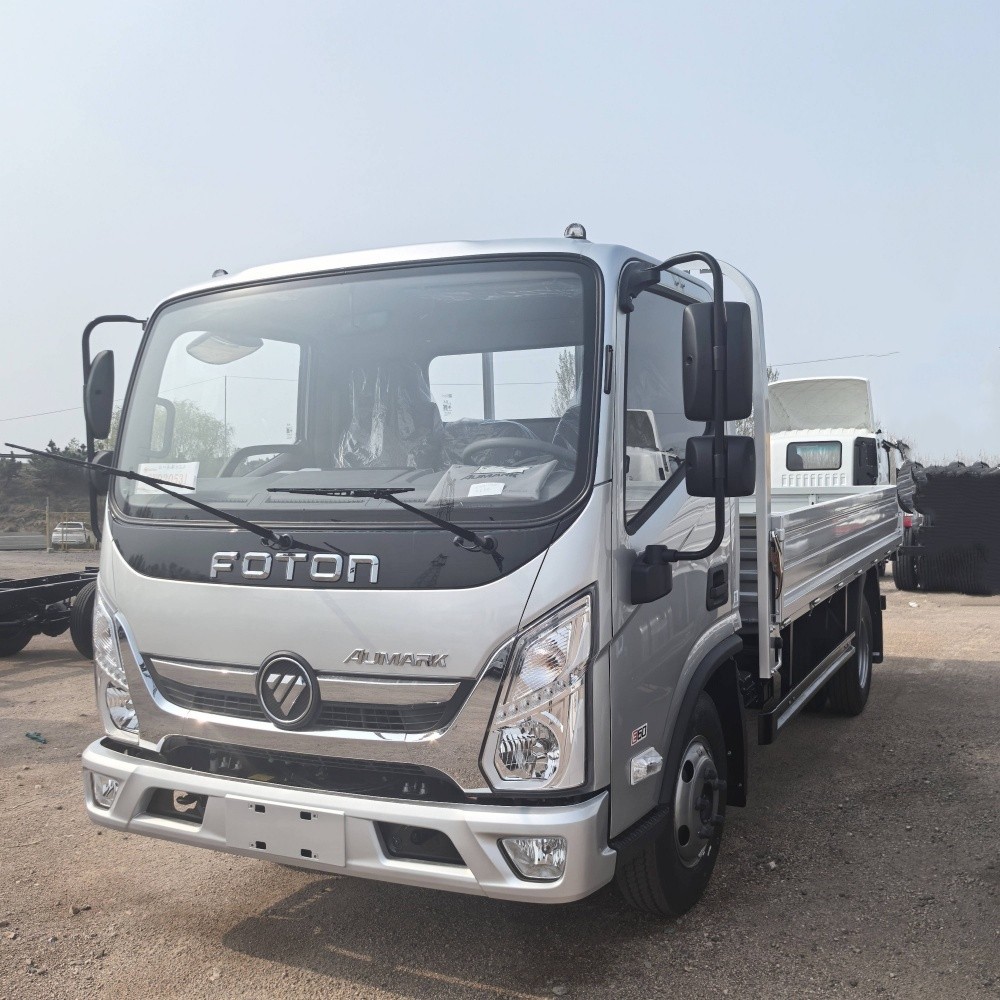 Foton Light Cargo Truck