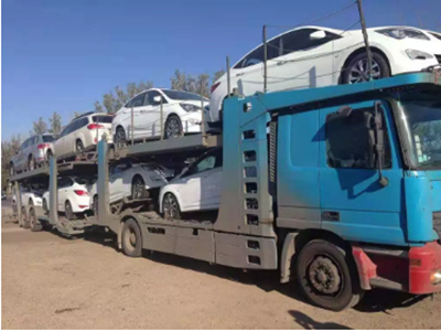 byd d1 shipment