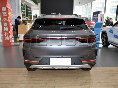 Byd song plus overview Byd song plus overview