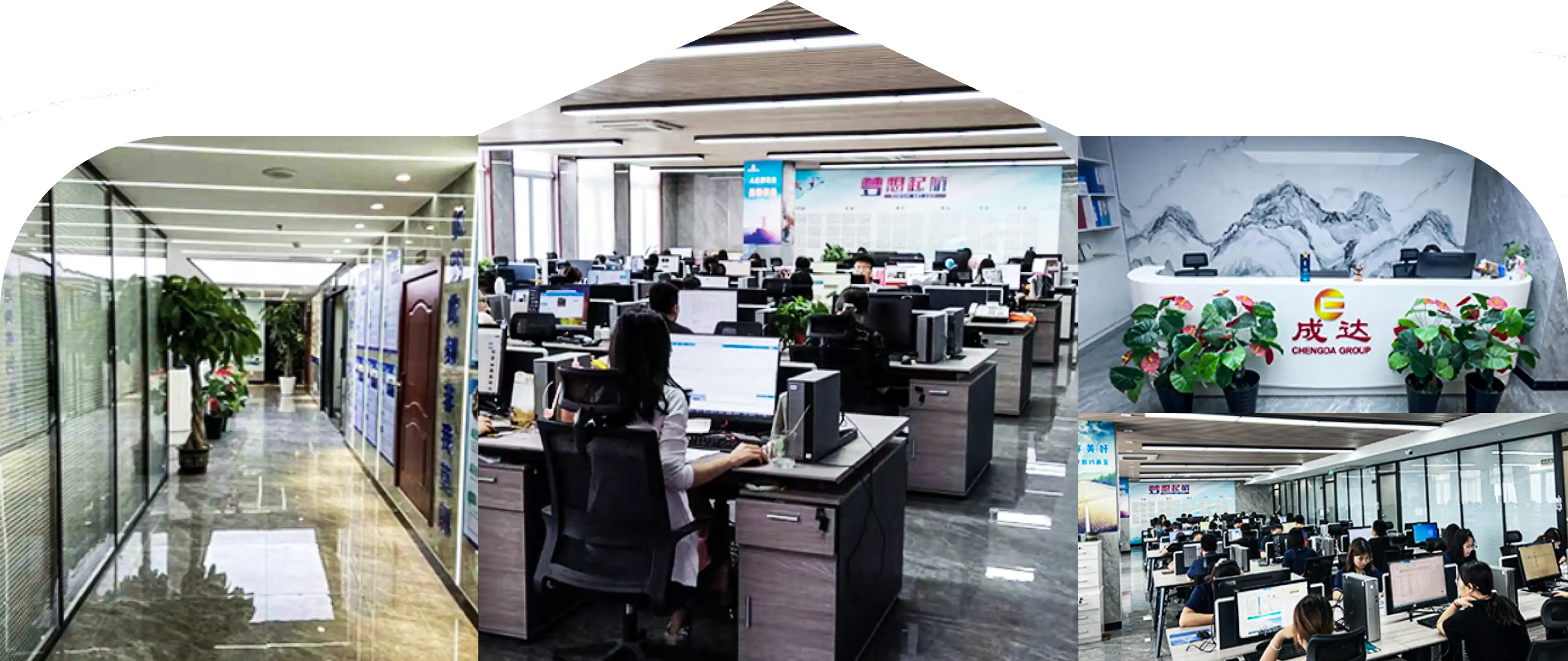 company info